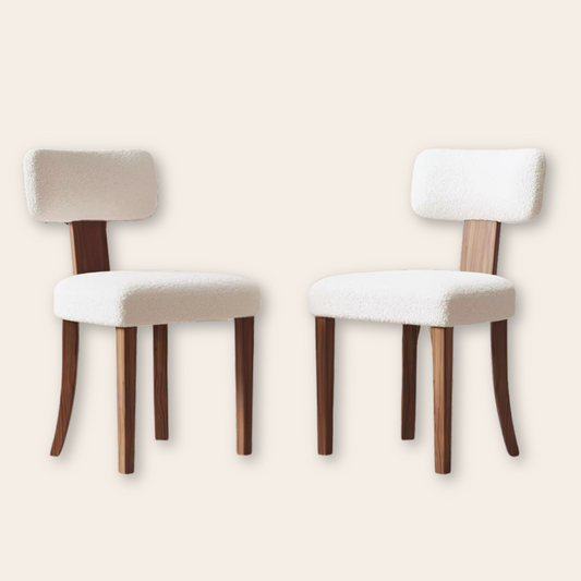 Mid Century Modern Dining Chairs Set